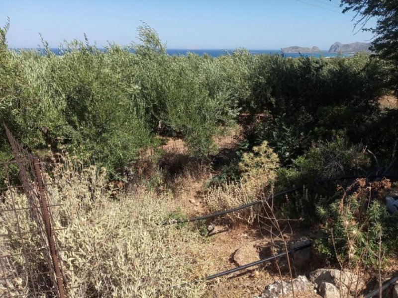 Kissamos Grundstück in der Nähe des Strandes von Falassarna Grundstück kaufen